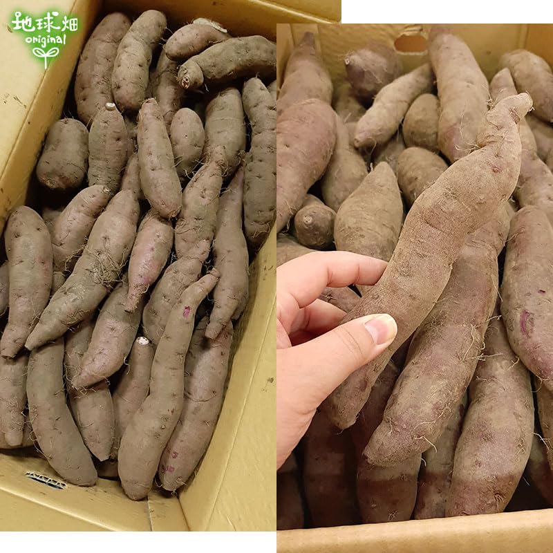 Amazon.co.jp: 地球畑 さつまいも 紫芋 2kg 有機栽培 生 鹿児島県産